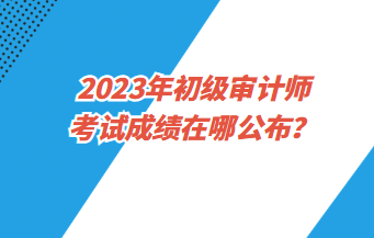 2023年初级审计师考试成绩在哪公布？