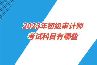 初级审计师和中级审计师考试安排一样吗？