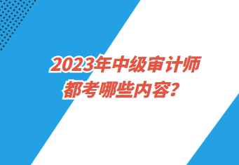 2023年中级审计师都考哪些内容？