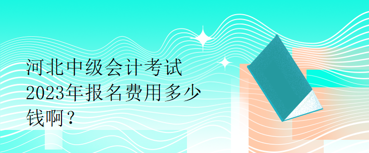 河北中级会计考试2023年报名费用多少钱啊？