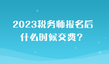 2023税务师报名后什么时候交费？