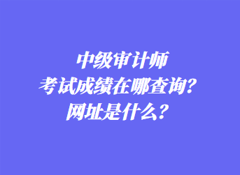 中级审计师考试成绩在哪查询？网址是什么？