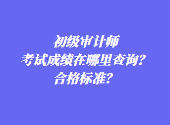 初级审计师考试成绩在哪里查询？合格标准？