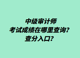 中级审计师考试成绩在哪里查询？查分入口？