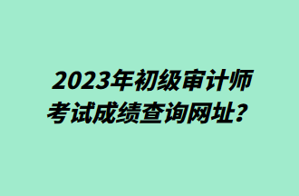 2023年初级审计师考试成绩查询网址？