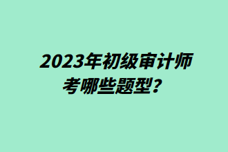 2023年初级审计师考哪些题型？