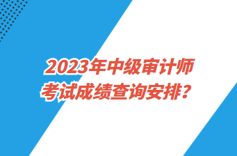 2023年中级审计师考试成绩查询安排？