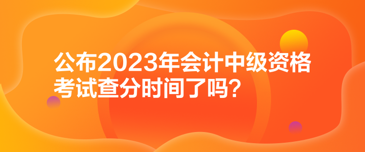 公布2023年会计中级资格考试查分时间了吗？