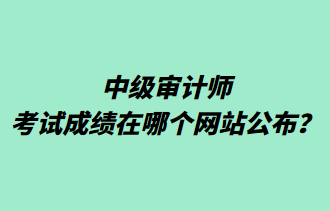 中级审计师考试成绩在哪个网站公布？