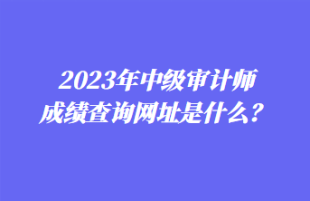 2023年中级审计师成绩查询网址是什么？