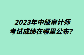 2023年中级审计师考试成绩在哪里公布？