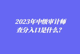 2023年中级审计师查分入口是什么？