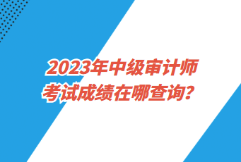 2023年中级审计师考试成绩在哪查询？