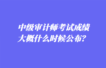 中级审计师考试成绩大概什么时候公布？