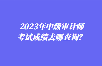 2023年中级审计师考试成绩去哪查询？