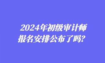 2024年初级审计师报名安排公布了吗？