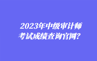 2023年中级审计师考试成绩查询官网？