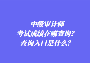 中级审计师考试成绩在哪查询？查询入口是什么？