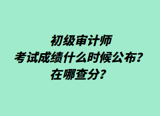 初级审计师考试成绩什么时候公布？在哪查分？