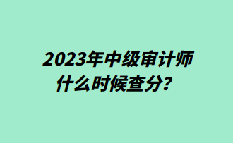 2023年中级审计师什么时候查分？