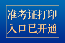 税务师准考证打印入口