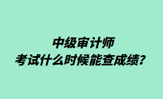 中级审计师考试什么时候能查成绩？