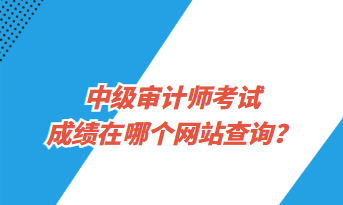 中级审计师考试成绩在哪个网站查询？