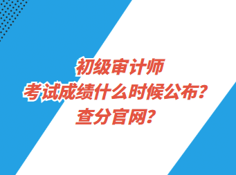 初级审计师考试成绩什么时候公布？查分官网？