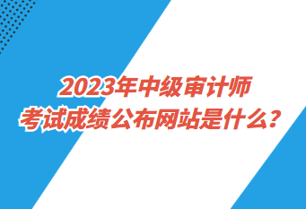 2023年中级审计师考试成绩公布网站是什么？