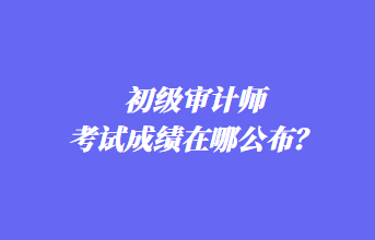 初级审计师考试成绩在哪公布？