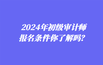 2024年初级审计师报名条件你了解吗？