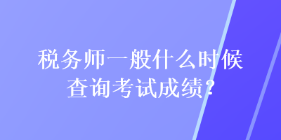 税务师一般什么时候查询考试成绩？