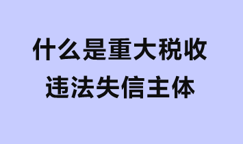 什么是重大税收违法失信主体？