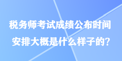 税务师考试成绩公布时间安排大概是什么样子的？