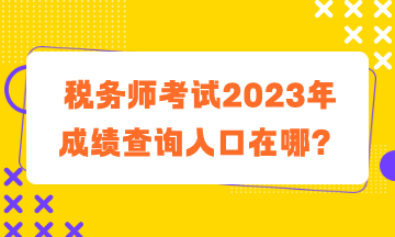 税务师考试2023年成绩查询入口在哪？