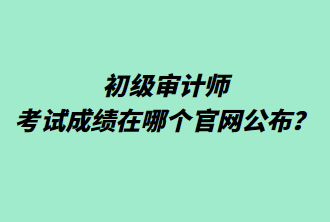 初级审计师考试成绩在哪个官网公布？