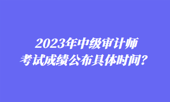 2023年中级审计师考试成绩公布具体时间？