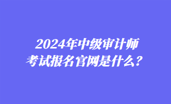 2024年中级审计师考试报名官网是什么？