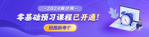 2024审计师高效实验班