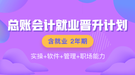 总账会计就业晋升计划