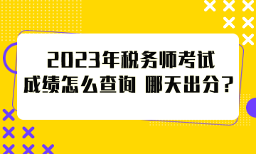 2023年税务师考试成绩怎么查询？哪天出分？