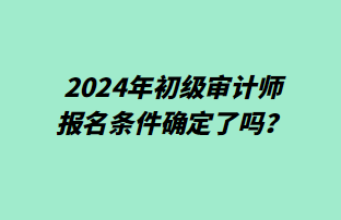 2024年初级审计师报名条件确定了吗？