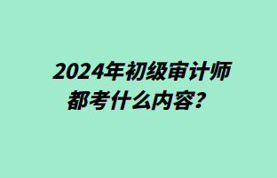 2024年初级审计师都考什么内容？