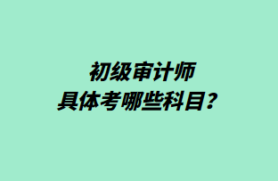 初级审计师具体考哪些科目？