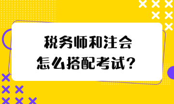 税务师和注会怎么搭配考试？