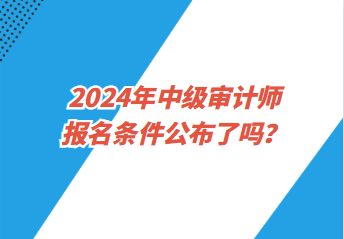 2024年中级审计师报名条件公布了吗？