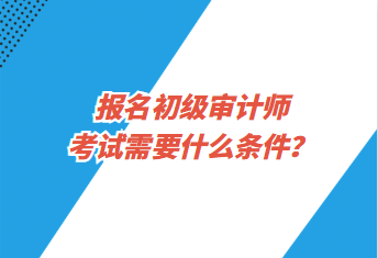 报名初级审计师考试需要什么条件？