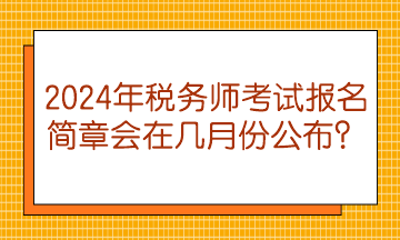 2024年税务师考试报名简章会在几月份公布？