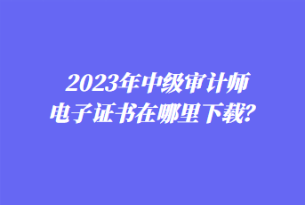 2023年中级审计师电子证书在哪里下载？