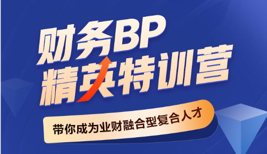 财务BP